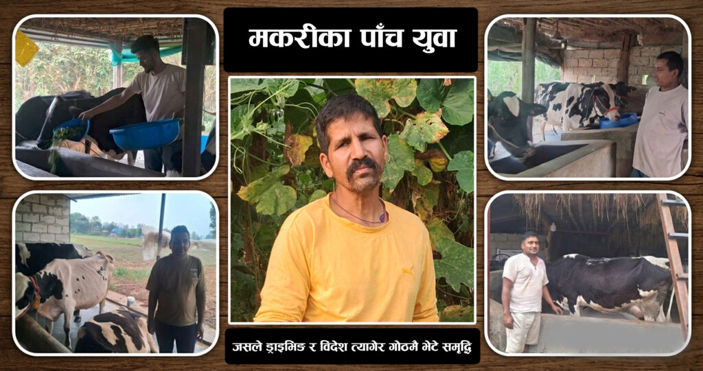 मकरीका पाँच युवा: जसले ड्राइभिङ र विदेश त्यागेर गोठमै भेटे समृद्धि
