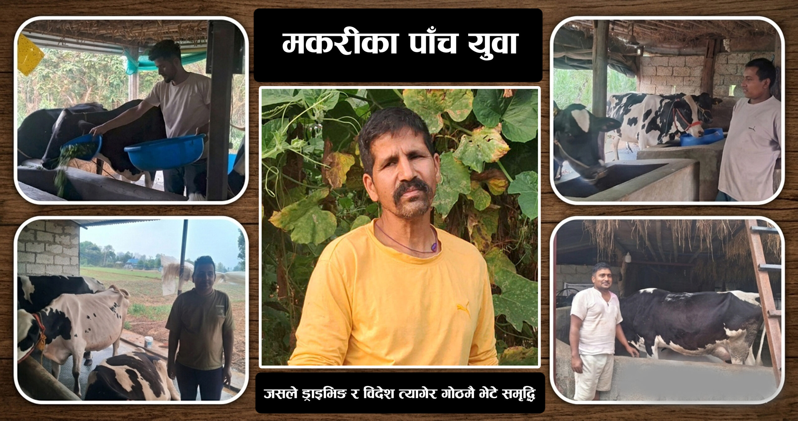 मकरीका पाँच युवा: जसले ड्राइभिङ र विदेश त्यागेर गोठमै भेटे समृद्धि